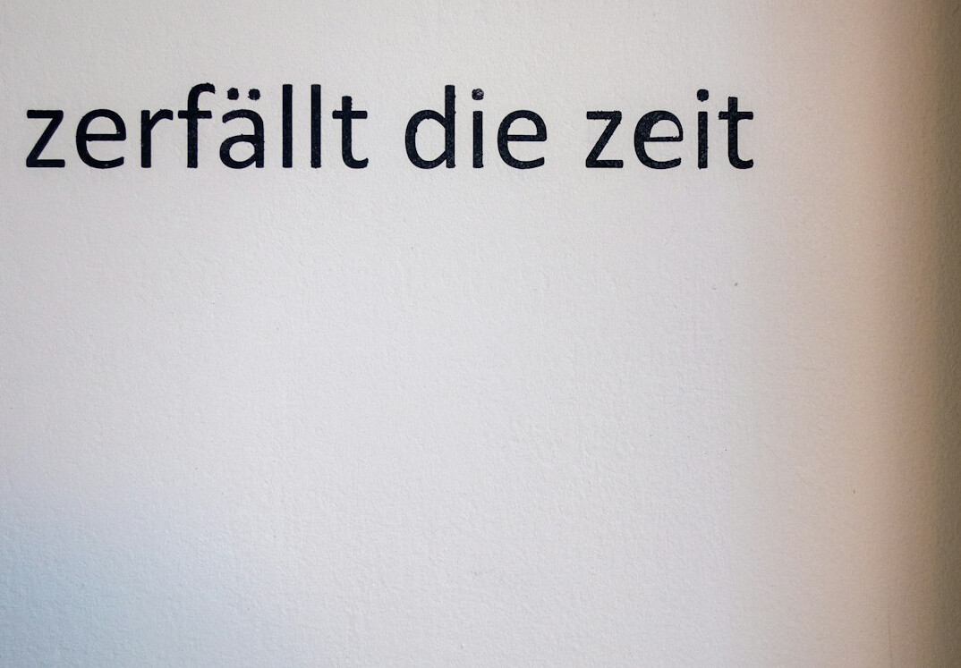 german citizens worried about technology