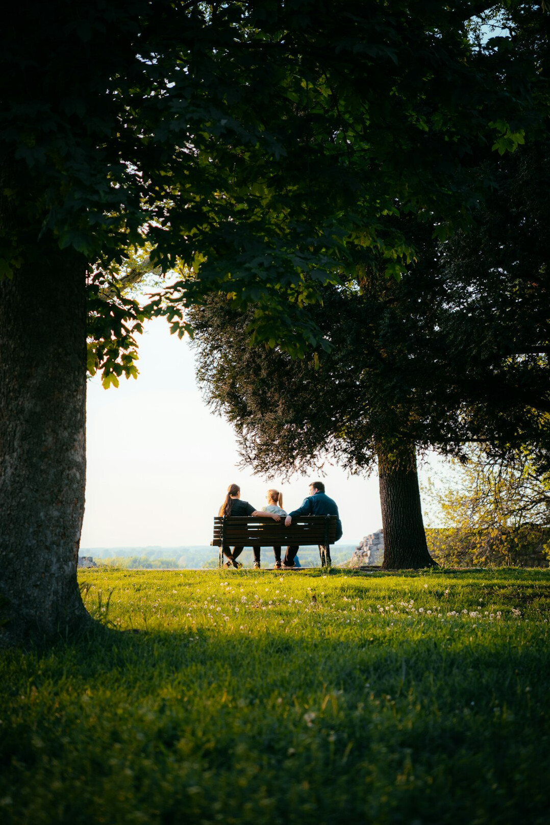 friends meeting in park
