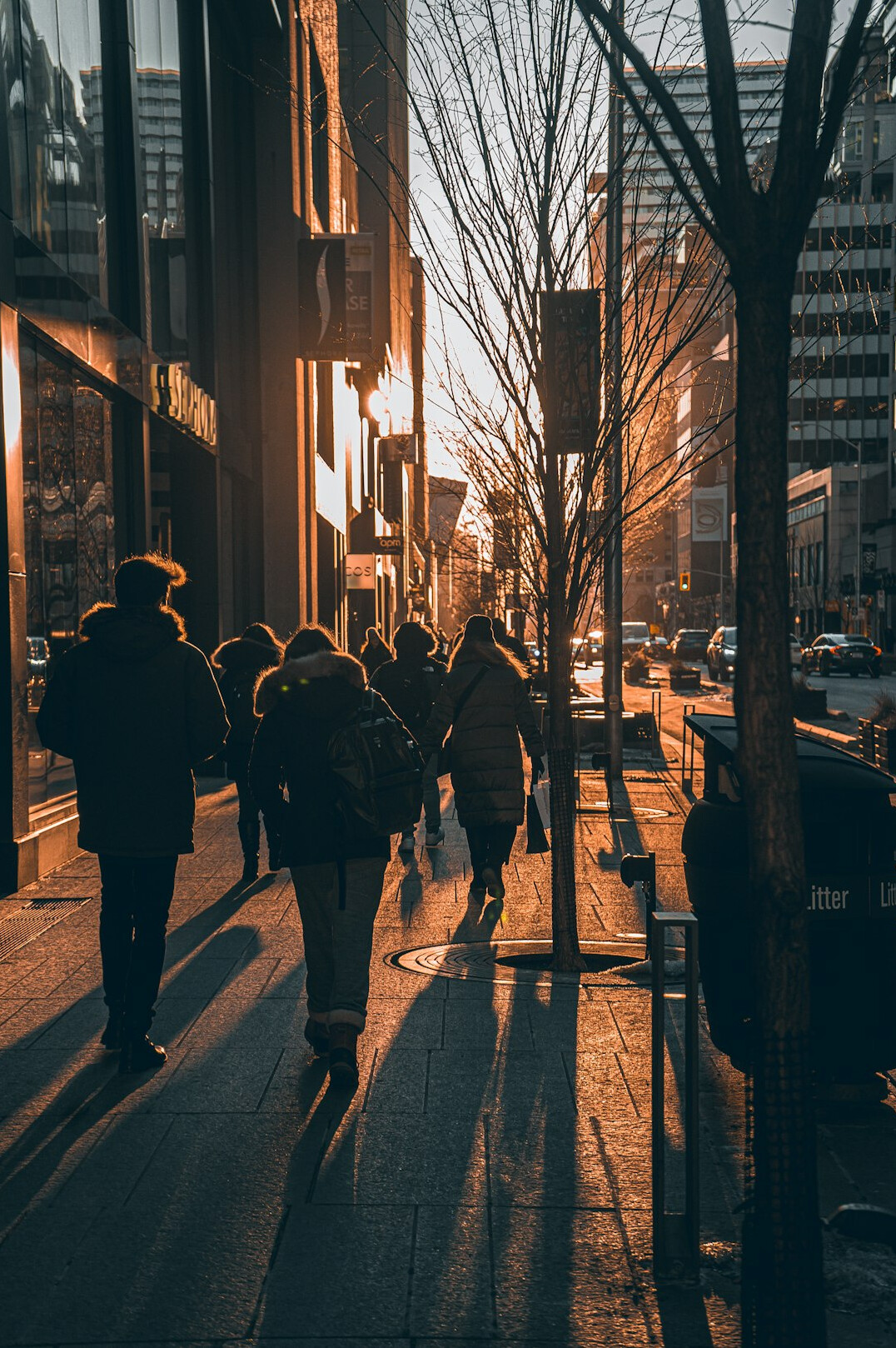 people walking in city