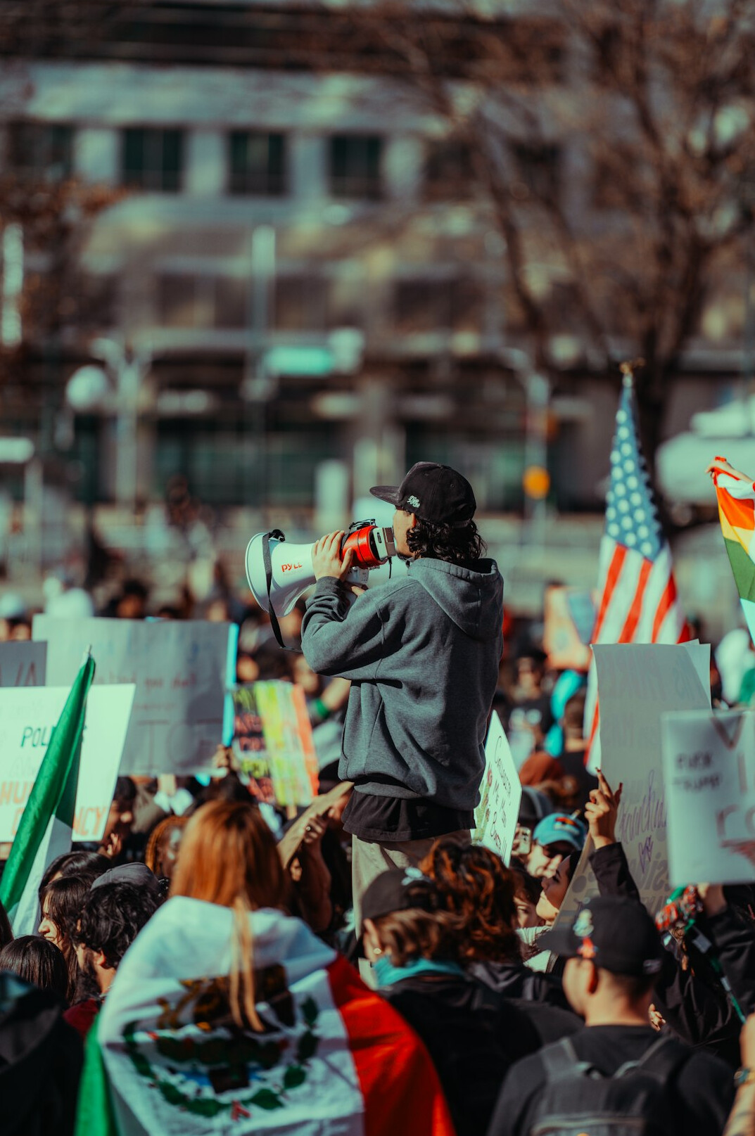 crowd protesting democracy issues